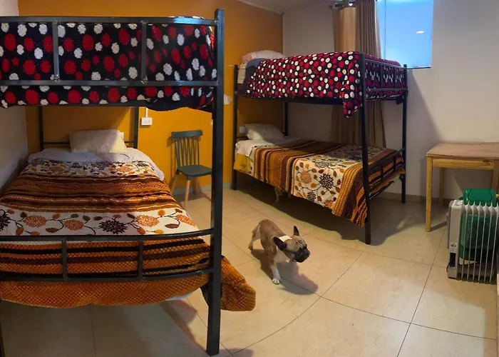 Hostel Tlv